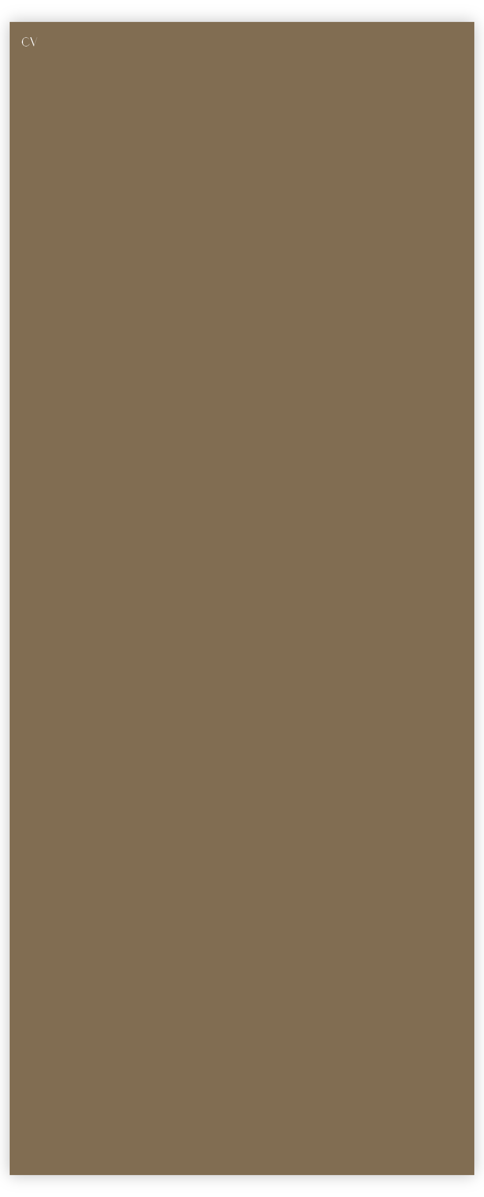 CV 
